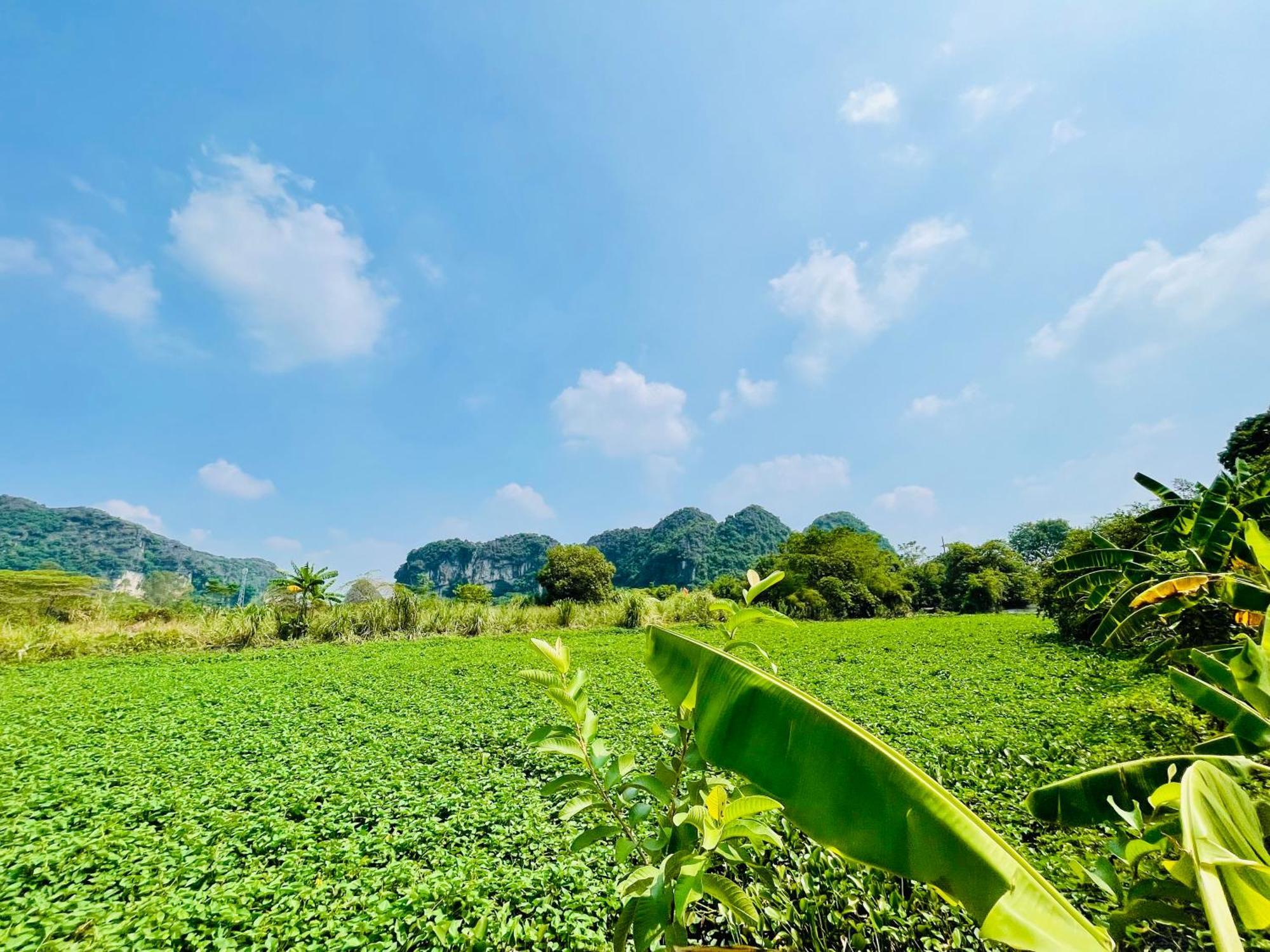 Trang An Lotus Lake Homestay Ninh Binh Exterior foto