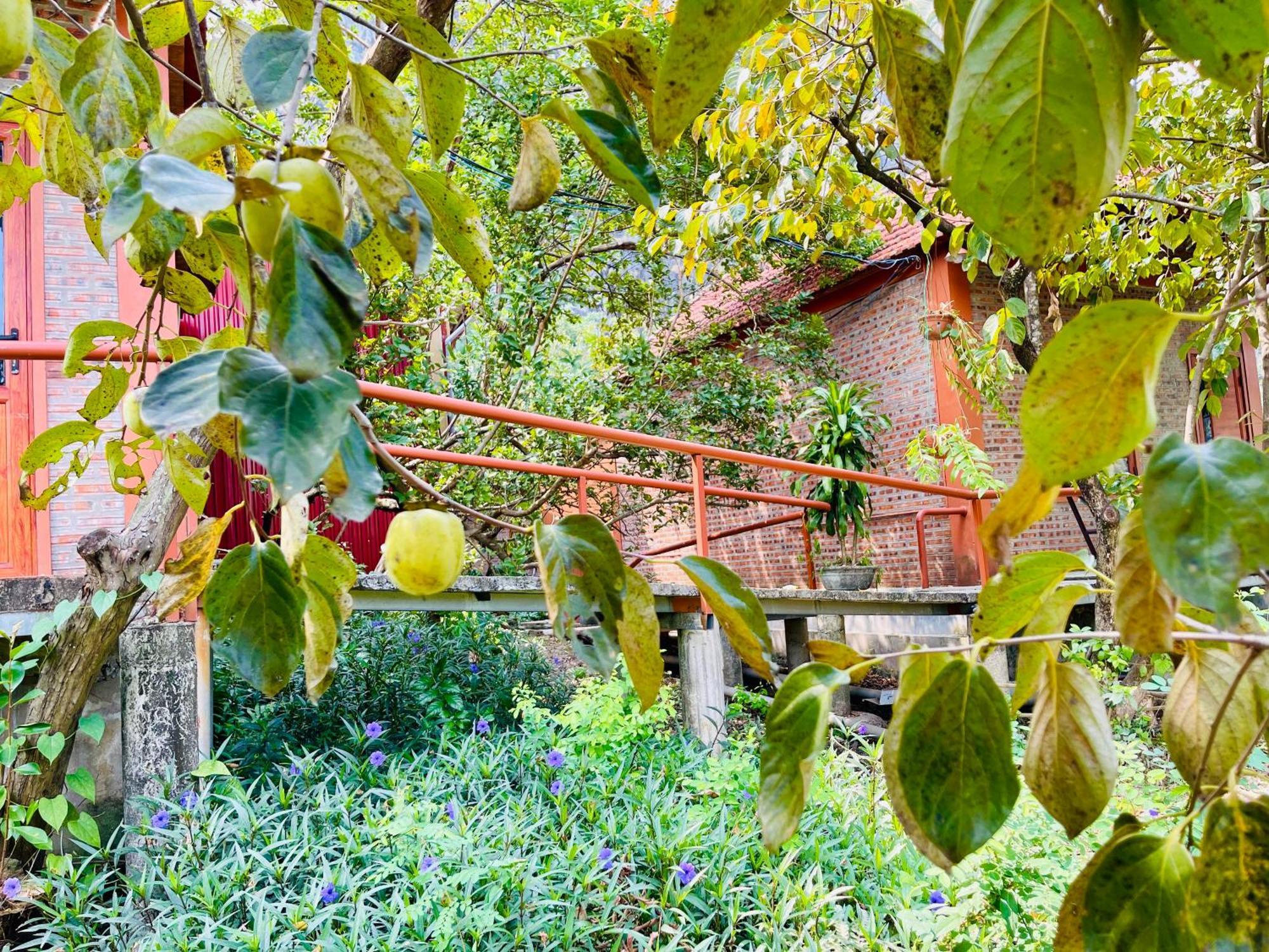 Trang An Lotus Lake Homestay Ninh Binh Exterior foto