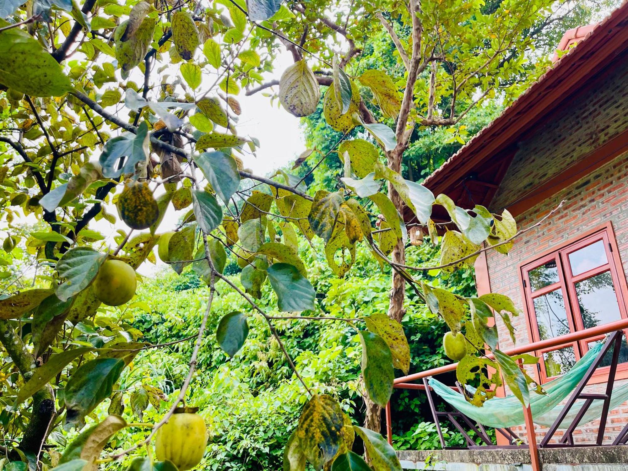 Trang An Lotus Lake Homestay Ninh Binh Exterior foto