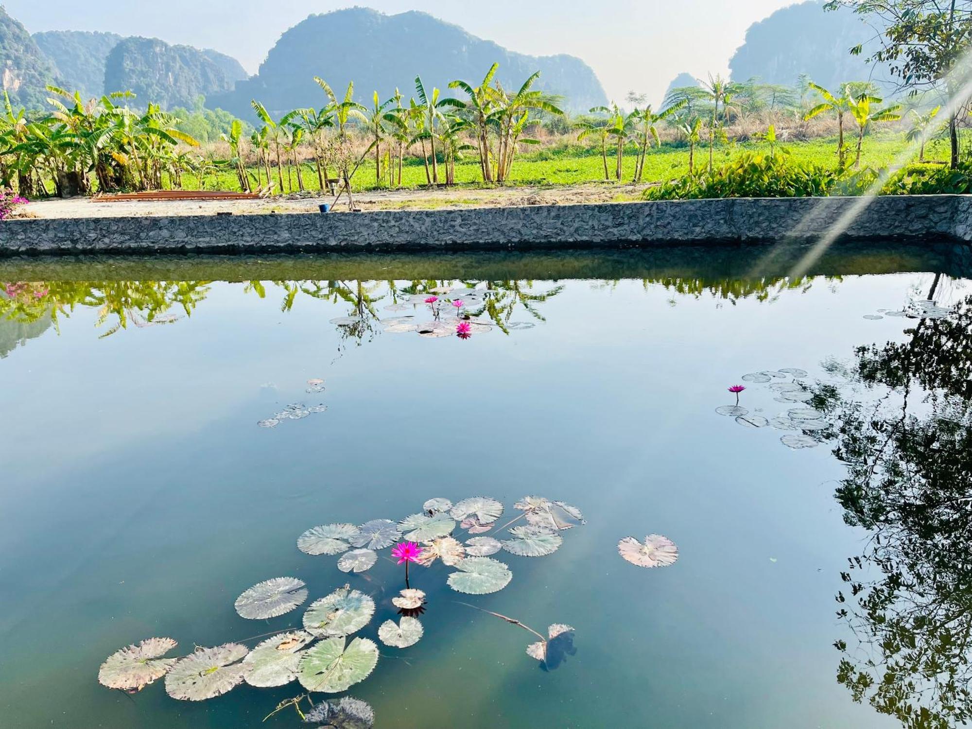Trang An Lotus Lake Homestay Ninh Binh Exterior foto